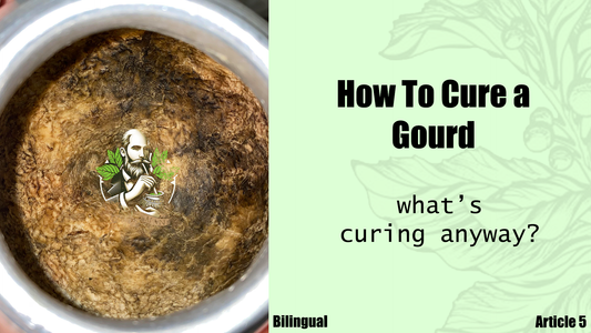 How to Cure a Yerba Mate Gourd (what's curing anyway)