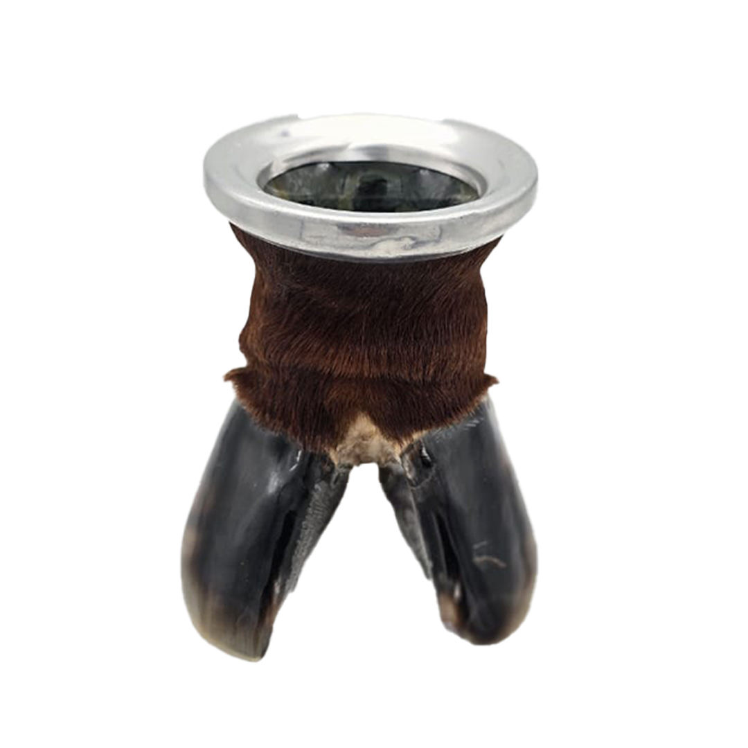 Brown Cow/Ox Hoof Glass Cup Front
