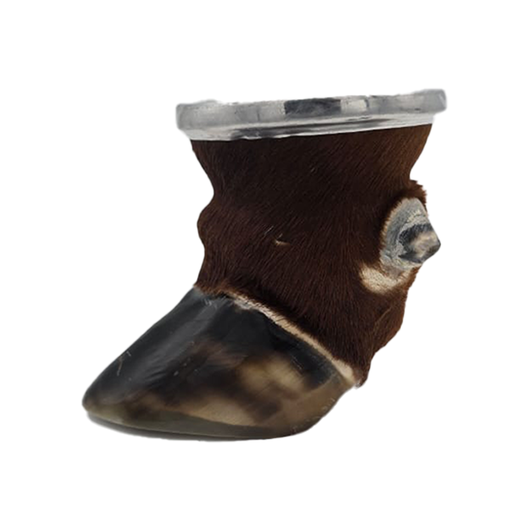 Brown Cow/Ox Hoof Glass Cup Right Side