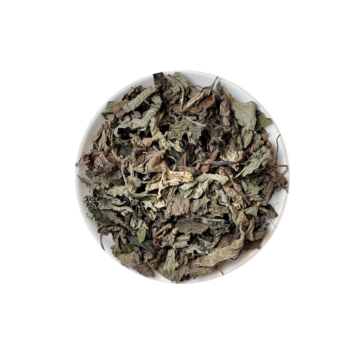 Wild Lemon Balm "Melissa"