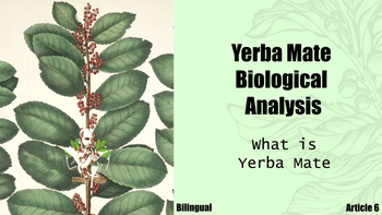 Yerba Mate Biological Breakdown (what is Yerba Mate?) – Mateman.store