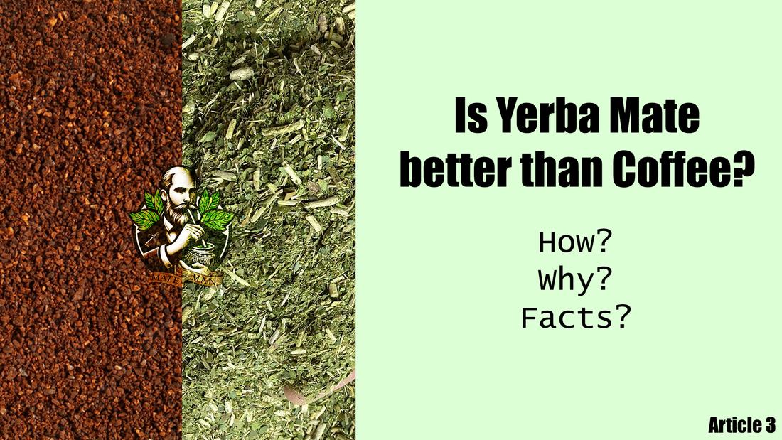 Is Yerba Mate better than Coffee?