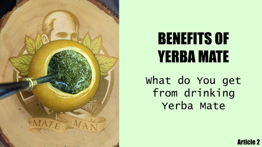 What are the benefits of Yerba Mate? (Is it good for You?)