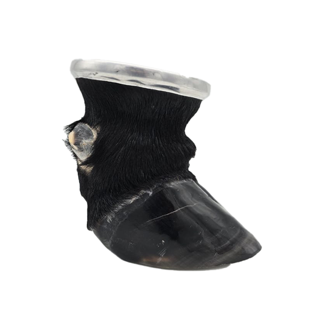 Black Cow/Ox Hoof Glass Cup Right Side