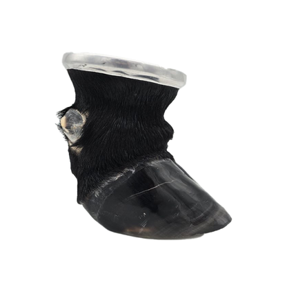 Black Cow/Ox Hoof Glass Cup Right Side