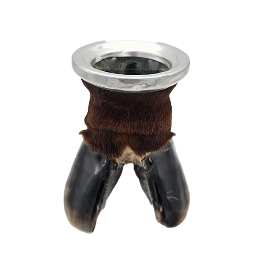 Brown Cow/Ox Hoof Glass Cup Front