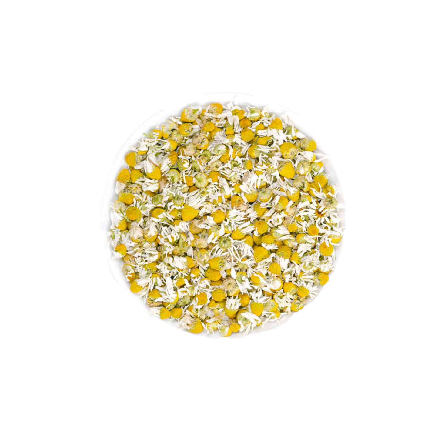 chamomile